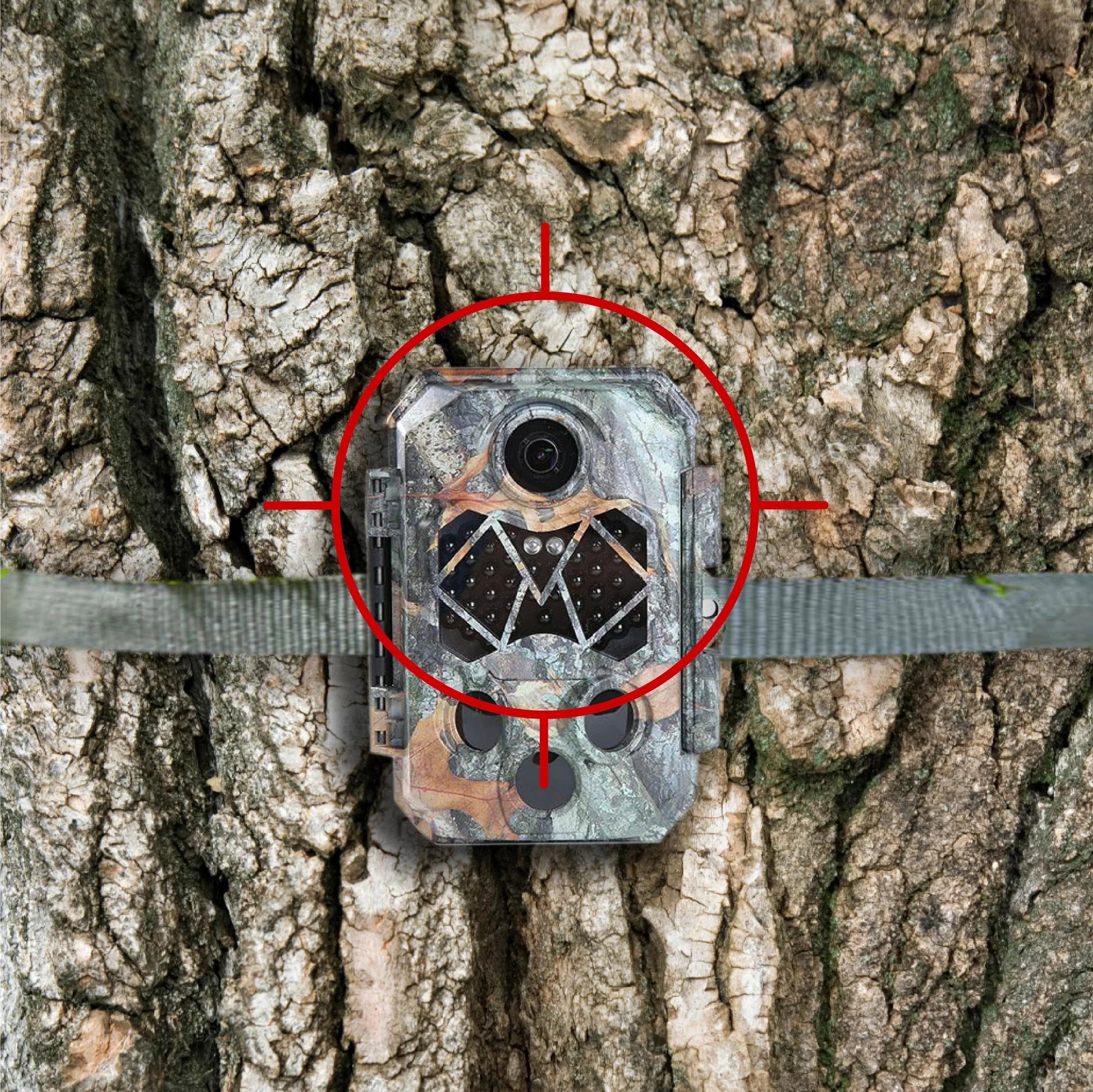 NatureTrack 4K Trail Camera - Sentriwise
