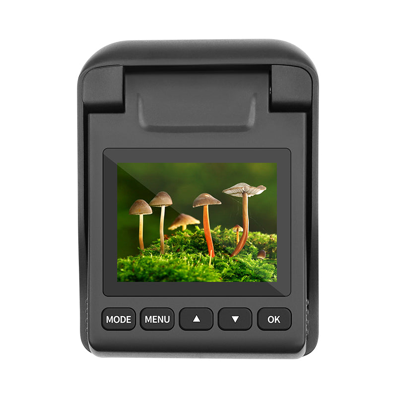 Black camera back with a color display showing mushrooms on moss, and five control buttons below the screen.