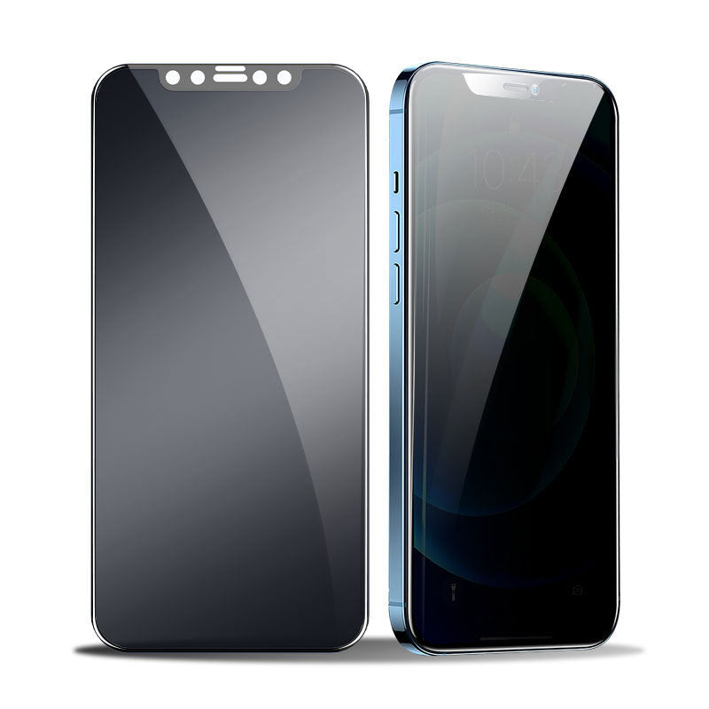 A matte dark privacy screen protector with notch cutouts next to a blue iPhone showing a dark side-view screen.