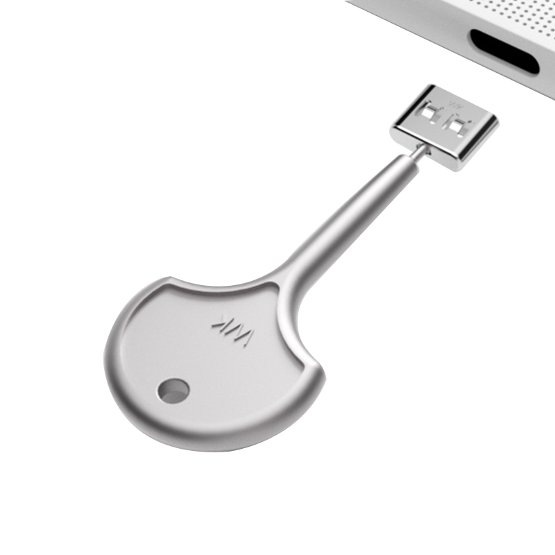 Single silver key-shaped tool with round head (hole), long stem and rectangular USB-A plug near a laptop edge.