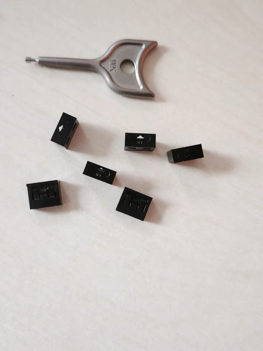 Silver metal removal key and six black rectangular port-blocker plugs with white icons on white fabric.