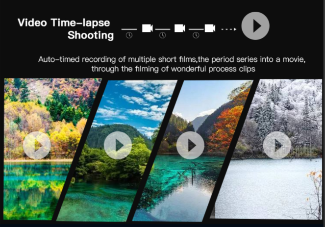 Four landscape photos showing seasonal changes in a forest and lake, each with a play icon overlay.