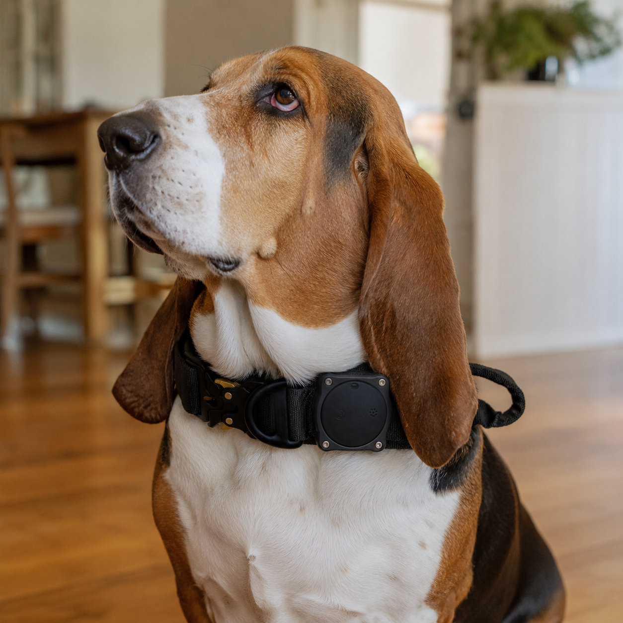 Fred Go - Bluetooth Tracker
