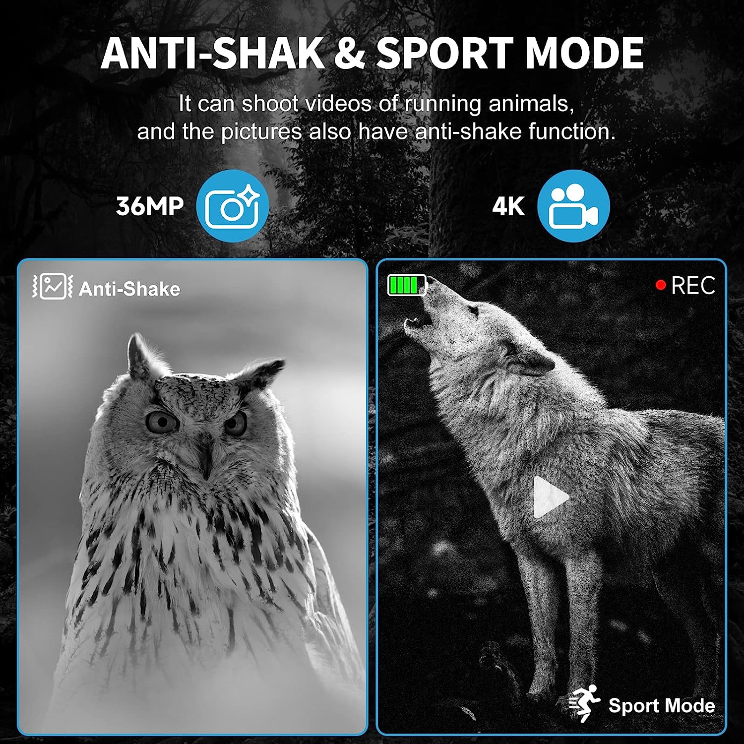 Night Vision Binoculars - 4K Recording
