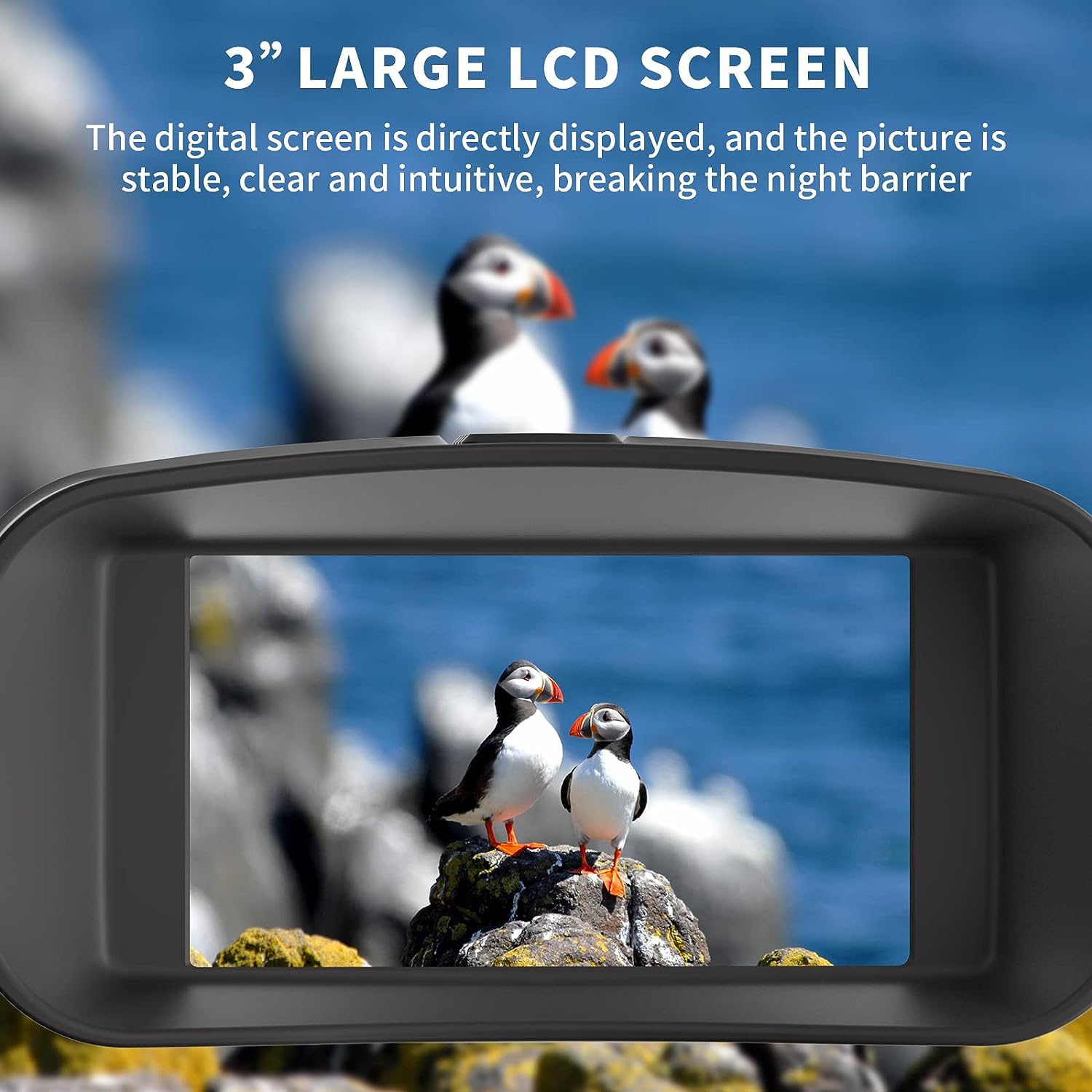 Night Vision Binoculars - 4K Recording