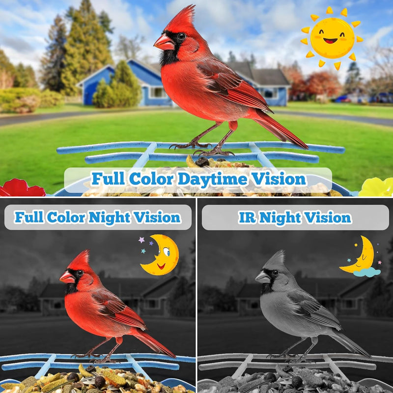 Bird Feeder with Camera Solar Panel AI Smart Bird Feeder with Waterproof  Night Vision Cameras 