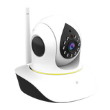 Home Surveillance Pet Camera with Laser Pointer